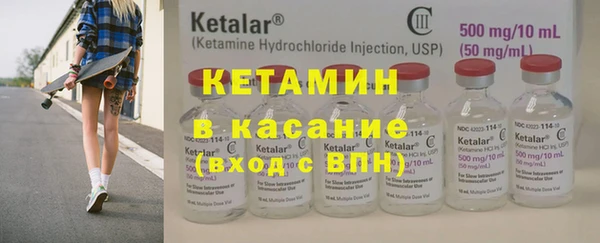 гидра Няндома