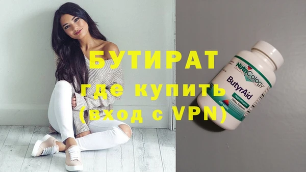гидра Няндома