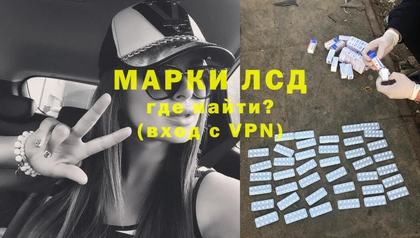 гидра Няндома