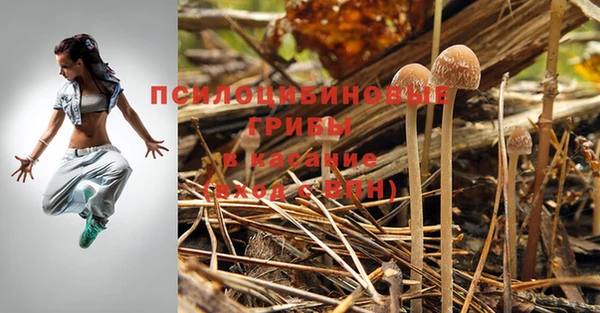 не бодяженный Галич