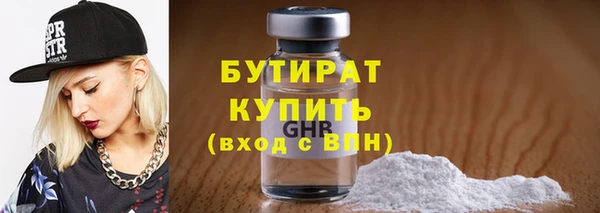 гидра Няндома
