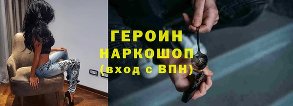 гидра Няндома