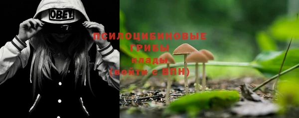 спайс Новодвинск