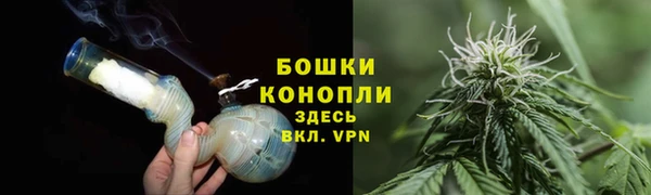 гидра Няндома