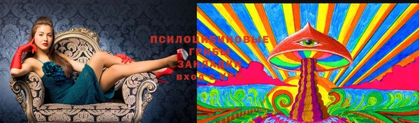 прущие крисы Нягань