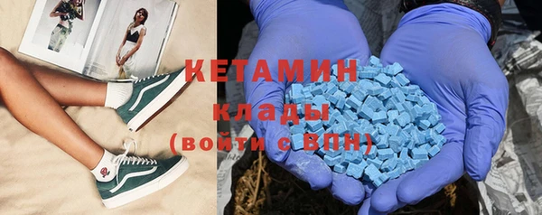 гидра Няндома