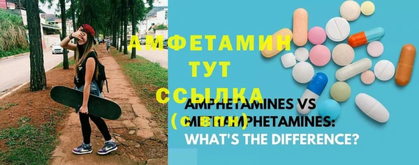 гидра Няндома