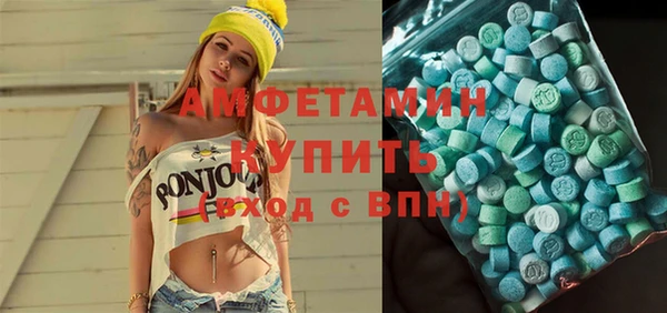 гидра Няндома