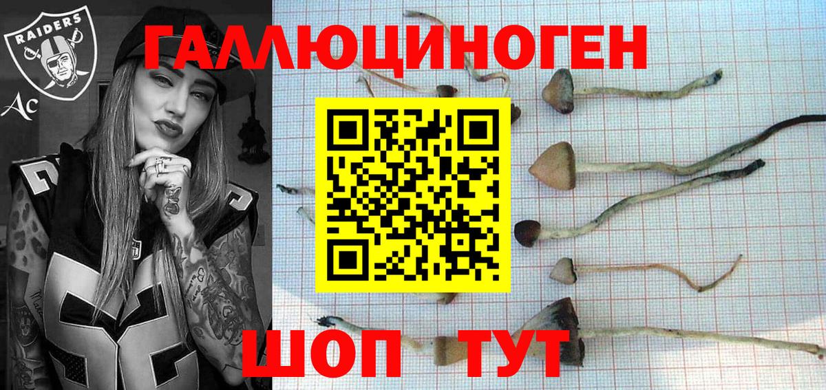 Псилоцибиновые грибы MAGIC MUSHROOMS  Вход с VPN  Отрадный 