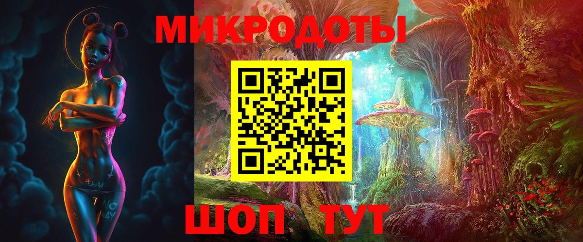 Псилоцибиновые грибы Psilocybe Отрадный